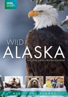 plakat filmu Dzika Alaska