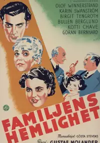 Plakat filmu Familjens hemlighet