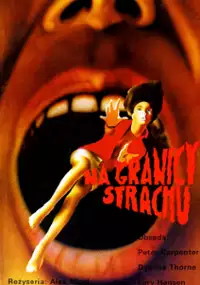 Plakat filmu Na granicy strachu