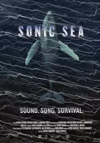 Plakat filmu Sonic Sea