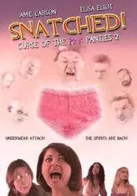 Plakat filmu Snatched!