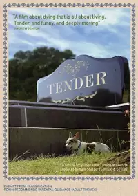 Plakat filmu Tender