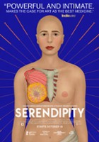 plakat filmu Serendipity