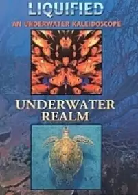 Plakat filmu Liquified: Underwater Realm