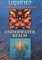 plakat filmu Liquified: Underwater Realm