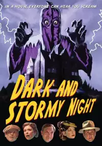 Plakat filmu Dark and Stormy Night