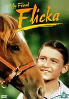 plakat filmu My Friend Flicka