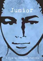 plakat filmu Junior