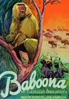 plakat filmu Baboona