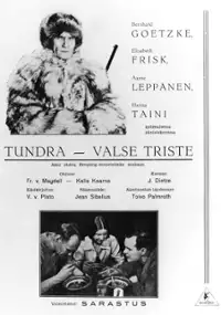 Plakat filmu Erämaan turvissa