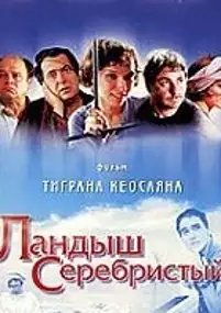 Plakat filmu Srebrzysta konwalia