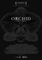 plakat filmu Orchid