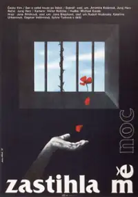 Plakat filmu Zastihla mě noc
