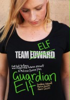 plakat filmu Guardian Elf