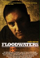 plakat filmu Floodwaters