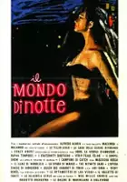 Luigi Vanzi / Il mondo di notte