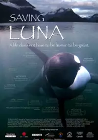 Plakat filmu Saving Luna