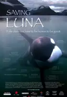 Tobin Stokes / Saving Luna