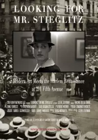Plakat filmu Looking For Mr Stieglitz