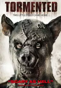 Plakat filmu Zadręczona