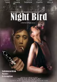 Plakat filmu Night Bird