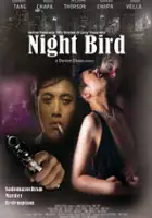 plakat filmu Night Bird