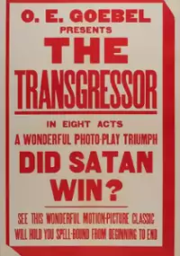 Plakat filmu The Transgressor