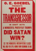 plakat filmu The Transgressor