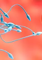 plakat filmu Wojny plemników