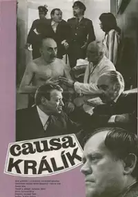 Plakat filmu Causa králík
