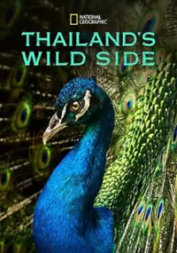 Plakat serialu Thailand's Wild Side