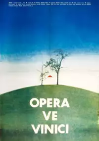 Plakat filmu Opera ve vinici