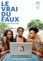 plakat filmu Le vrai du faux