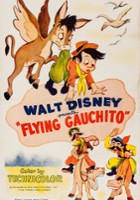 plakat filmu The Flying Gauchito