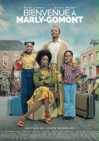 plakat filmu The African Doctor