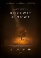 plakat filmu Rozkwit zimowy