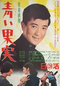 Plakat filmu Seishun Zenki: Aoi Kajitsu
