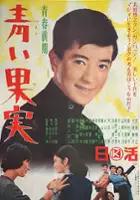 plakat filmu Seishun Zenki: Aoi Kajitsu