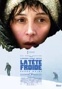 Plakat filmu Zimowe przejście