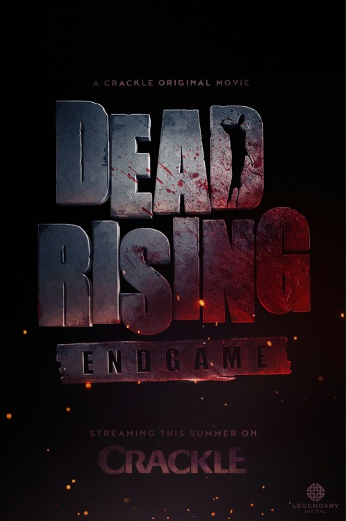 Zmartwychwstanie: Etap końcowy / Dead Rising: Endgame (2016) PL.720p.BRRip.XviD.AC3-WiZARDS / Lektor PL