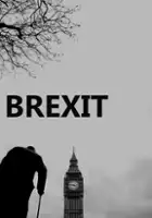 Janek Ambros / Brexit