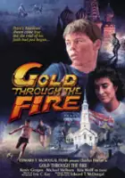 Reid Ostrowski / Gold Through the Fire