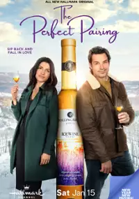 Plakat filmu Para doskonała