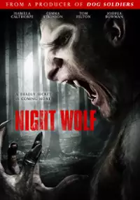 Plakat filmu Nocna bestia