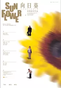 Plakat filmu Słonecznik