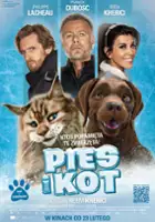 plakat filmu Pies i kot