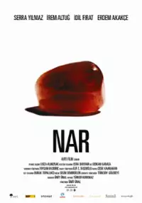Plakat filmu Owoc granatu