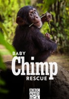 plakat filmu Na ratunek młodym szympansom