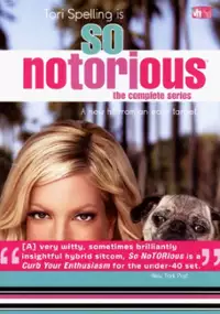 Plakat serialu So noTORIous