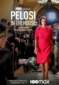 Plakat filmu Dom Pelosi